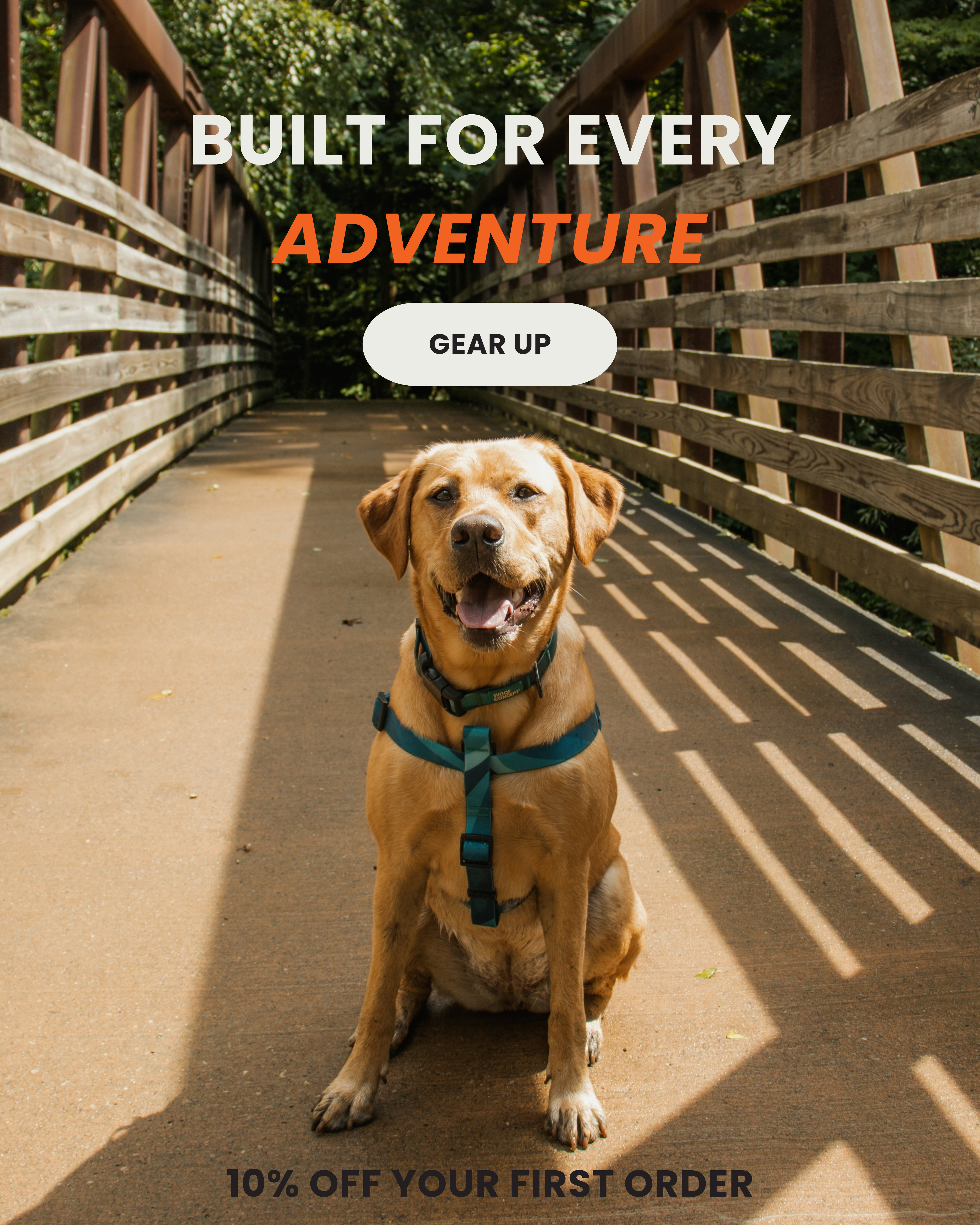 FB Ad Draft